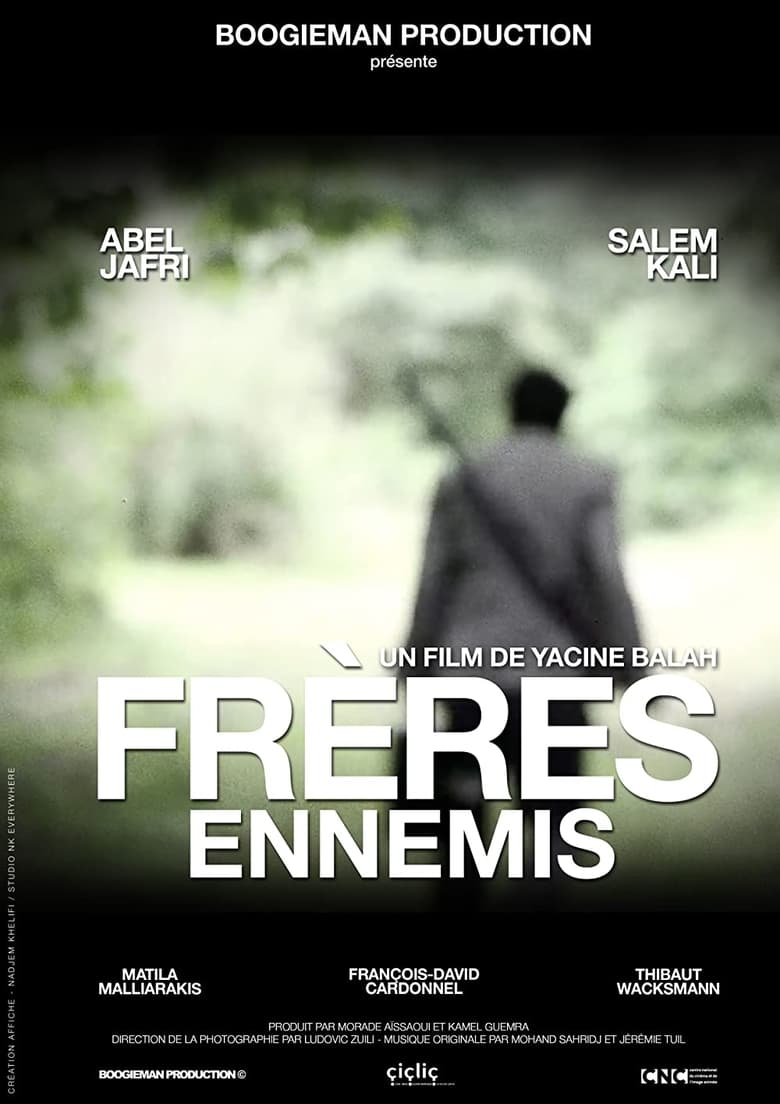 Poster of Frères ennemis