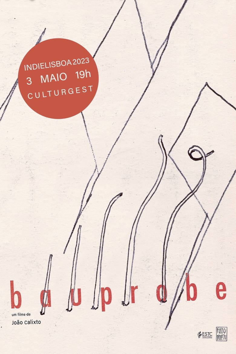 Poster of BAUPROBE