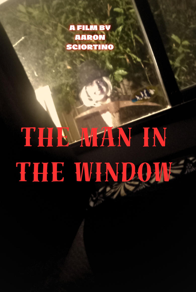 Poster of The man in the window