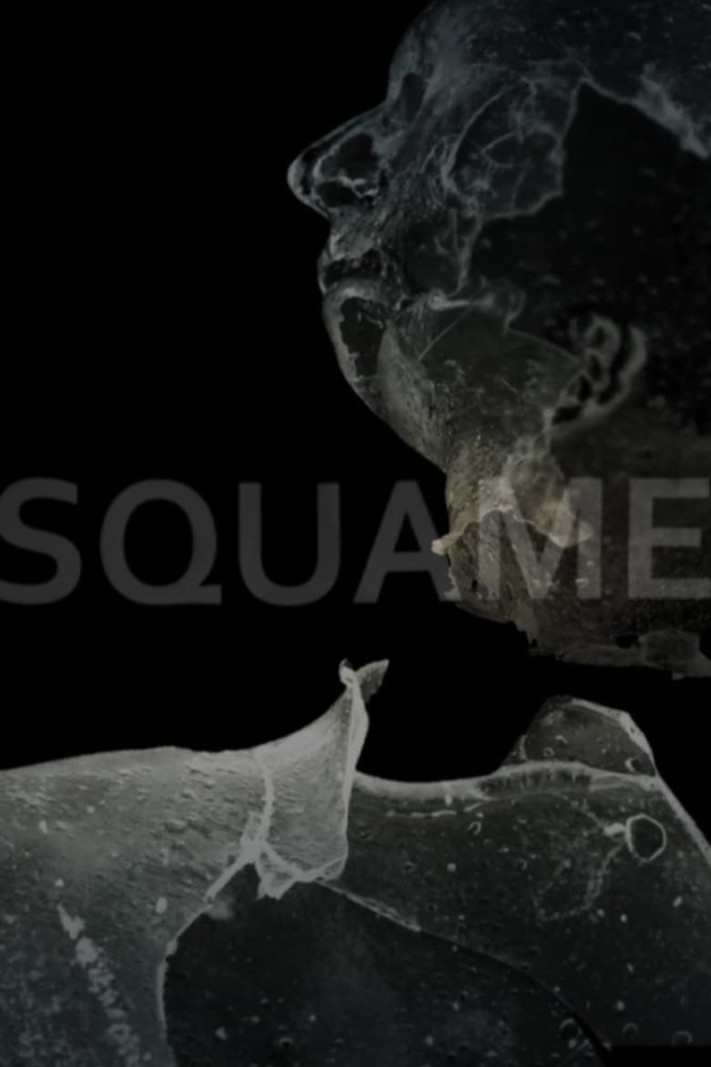 Poster of Squame