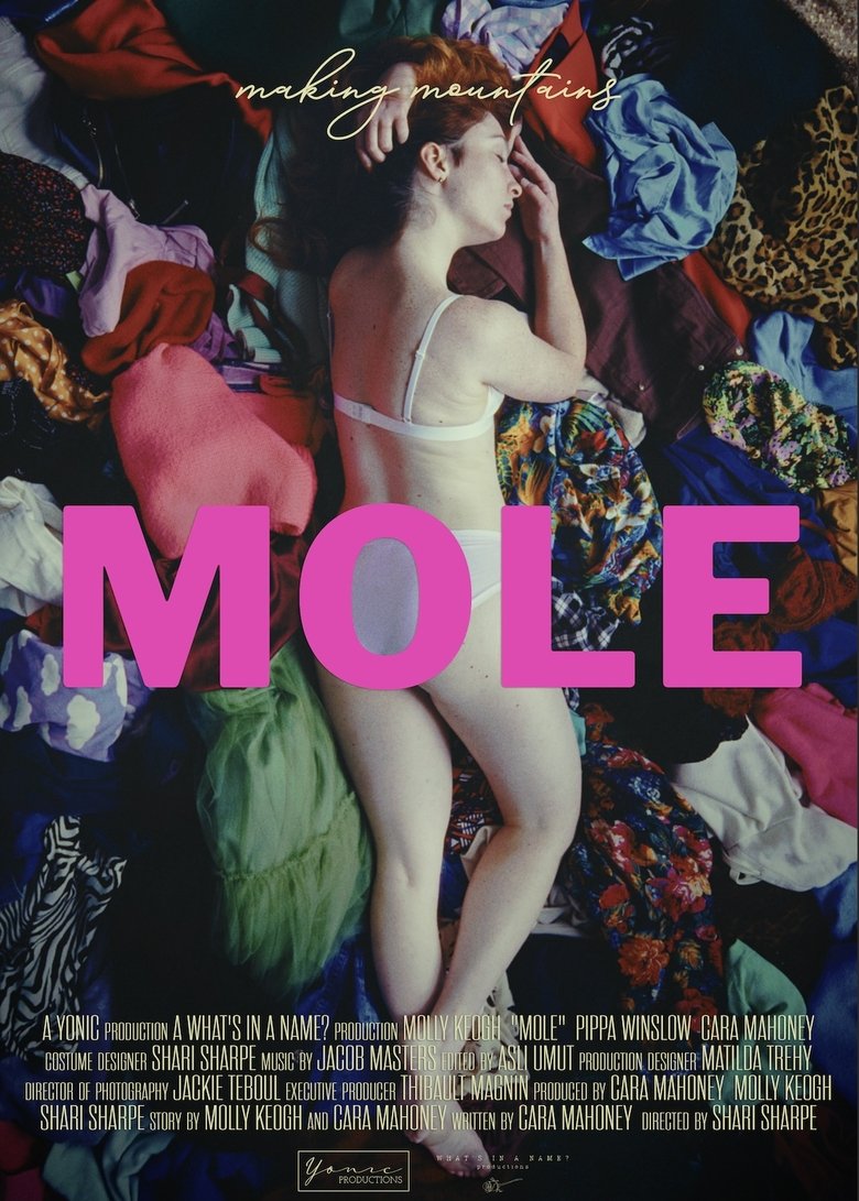 Poster of Mole