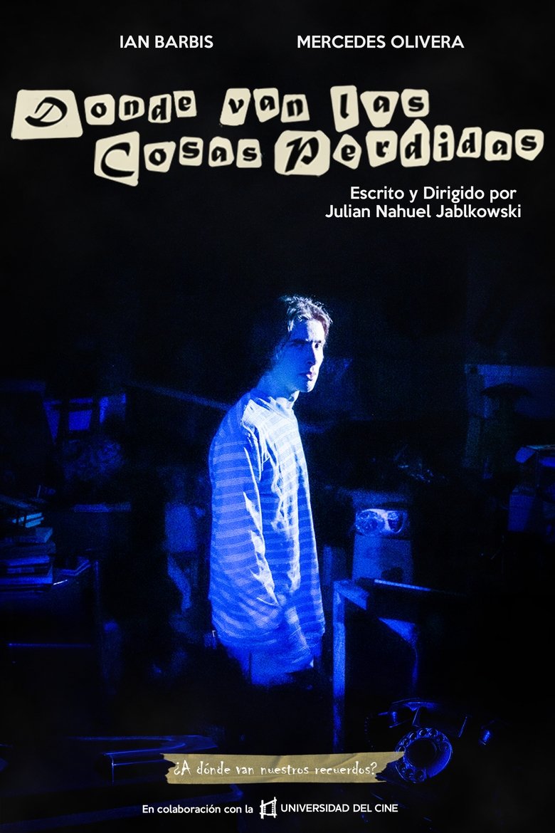 Poster of Where the Lost Things go