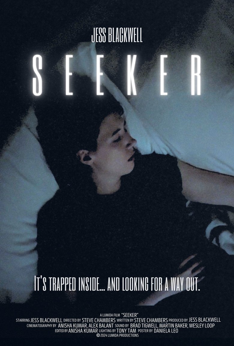 Poster of Seeker