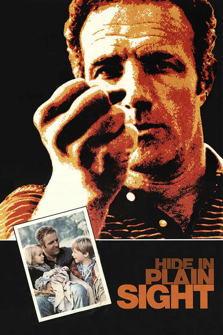 Poster of Hide in Plain Sight