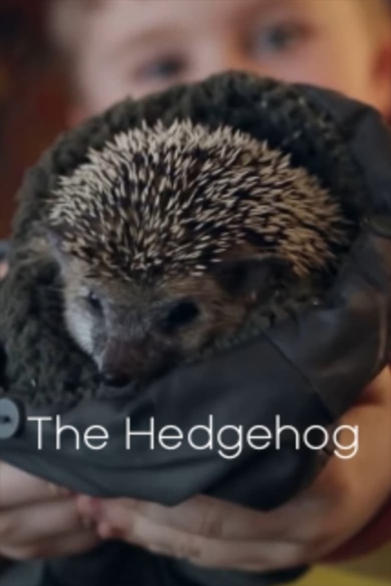 Poster of The Hedgehog