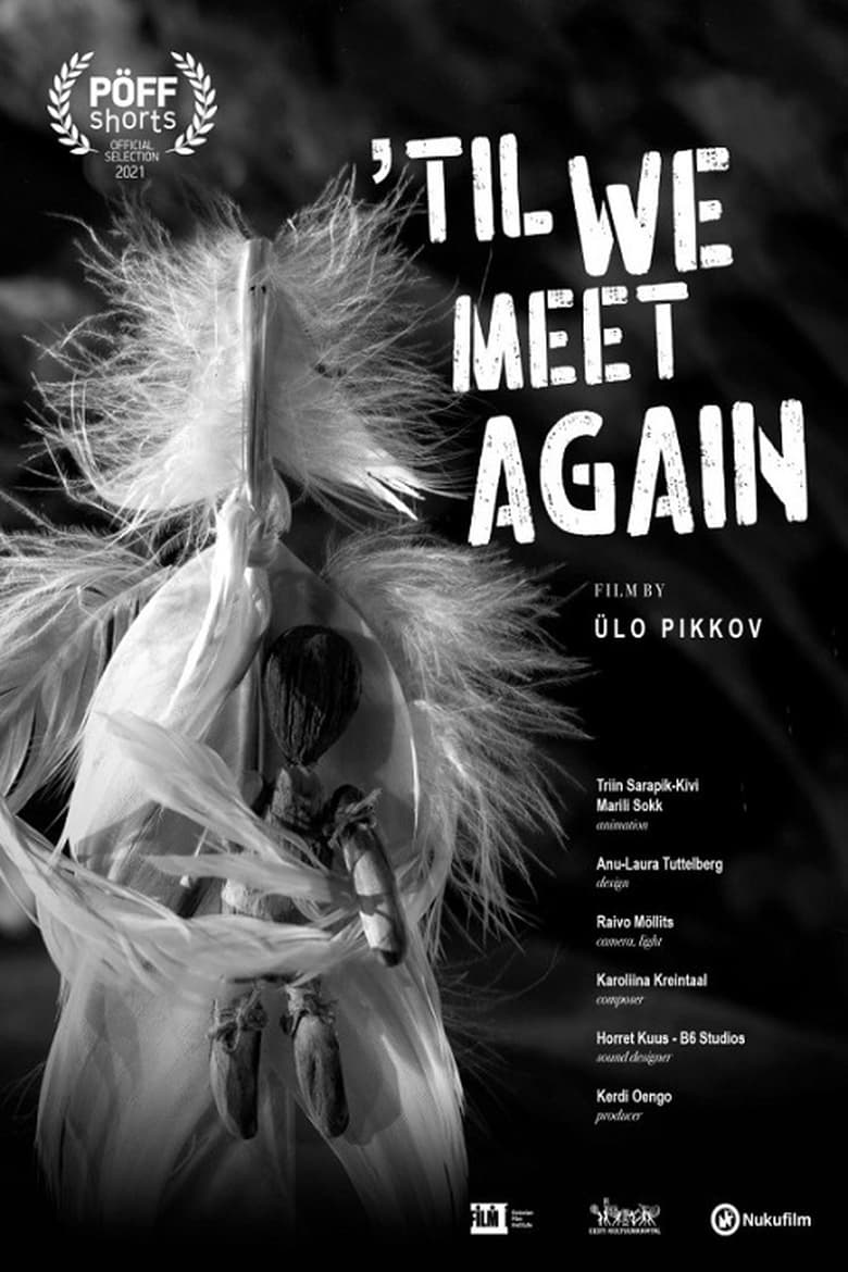 Poster of Till We Meet Again