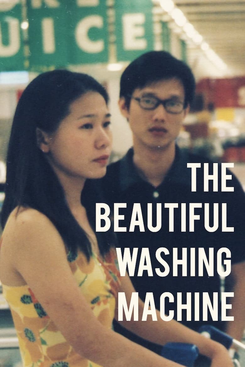 Poster of The Beautiful Washing Machine