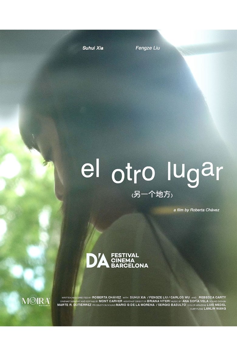 Poster of El otro lugar