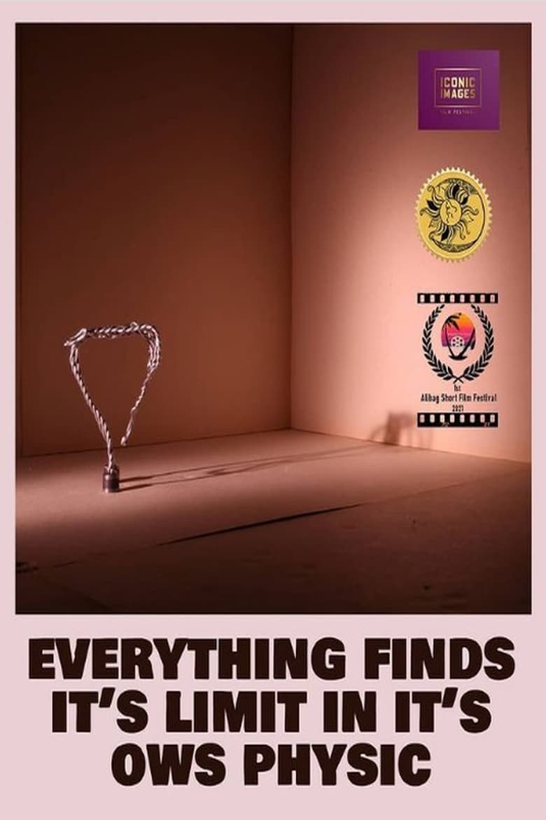 Poster of everything finds it's limit in it's own physics