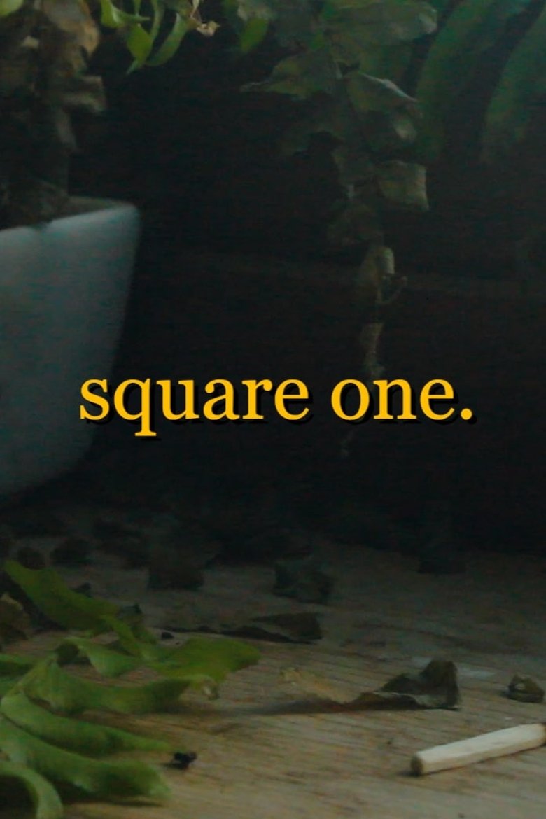 Poster of square one.