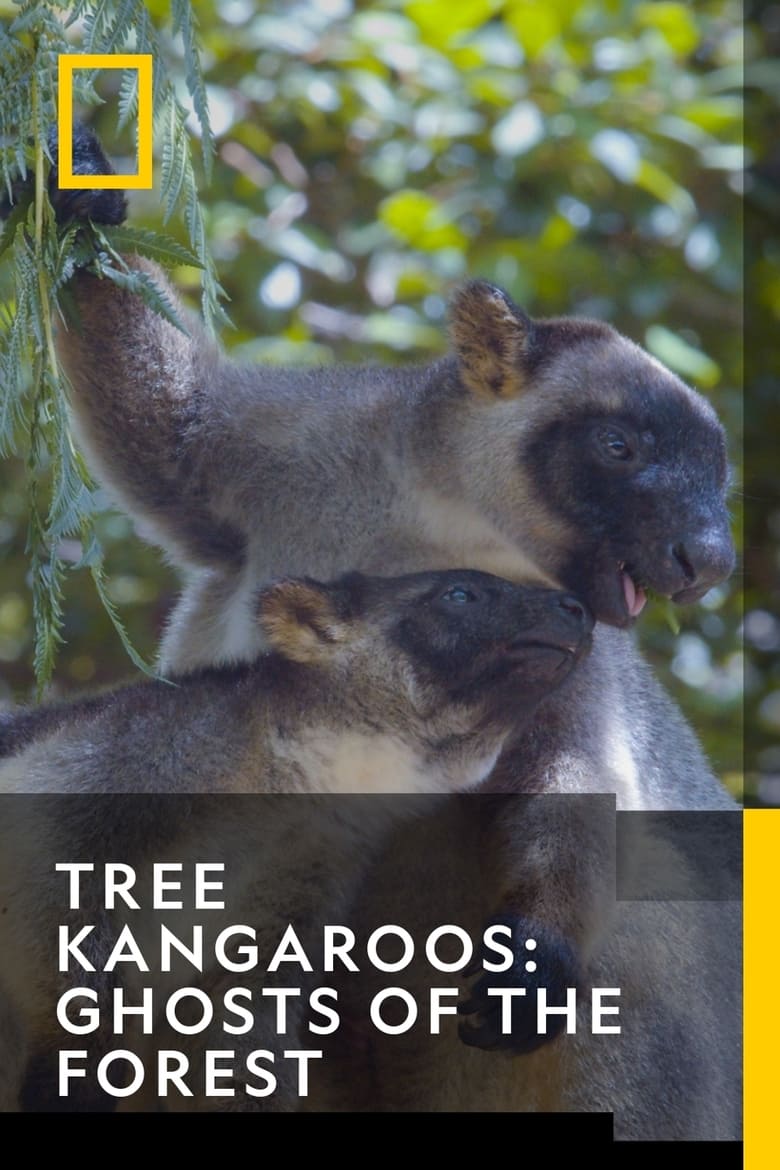 Poster of Tree Kangaroos: Ghosts of the Forest