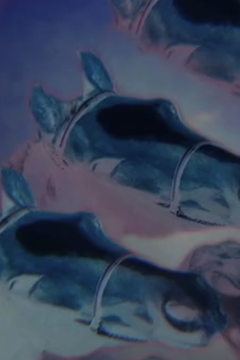 Poster of Drowning Horses
