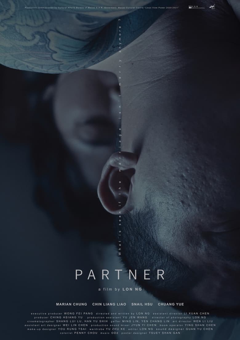 Poster of Partner