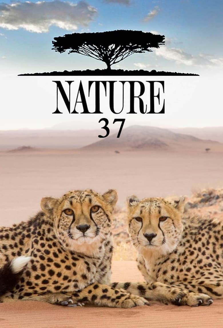 Poster of Cast and Crew in Nature - Season 37 - Episode 13 - American Spring LIVE: Birth and Rebirth