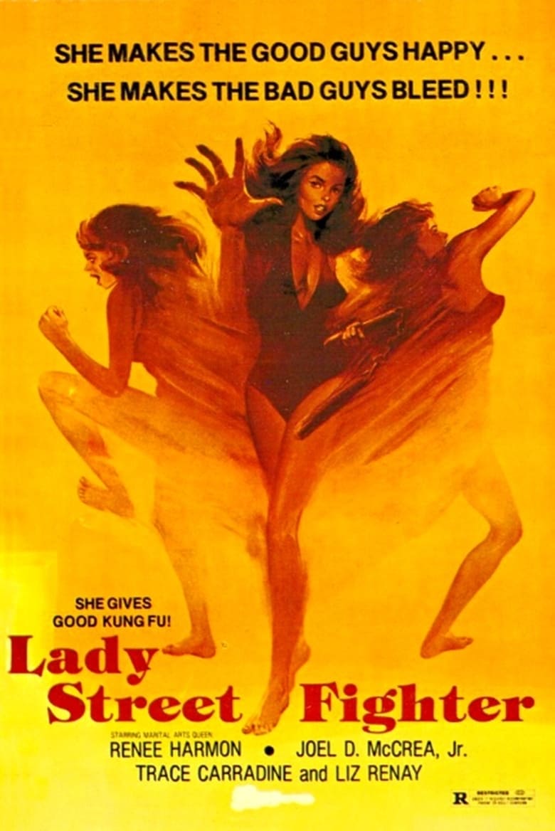 Poster of Lady Street Fighter