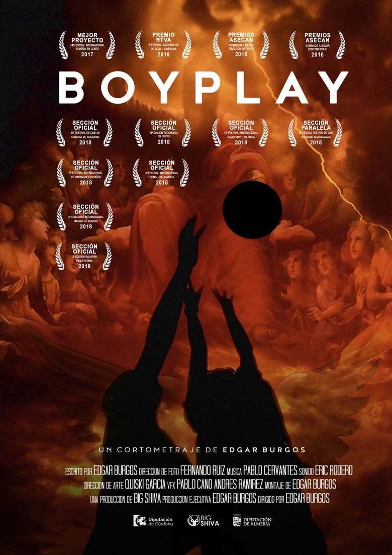 Poster of Boyplay
