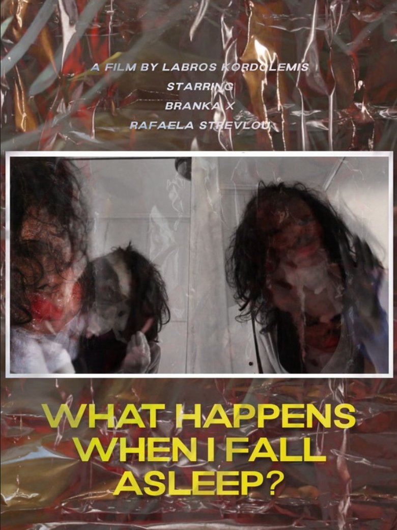 Poster of What Happens When I Fall Asleep?