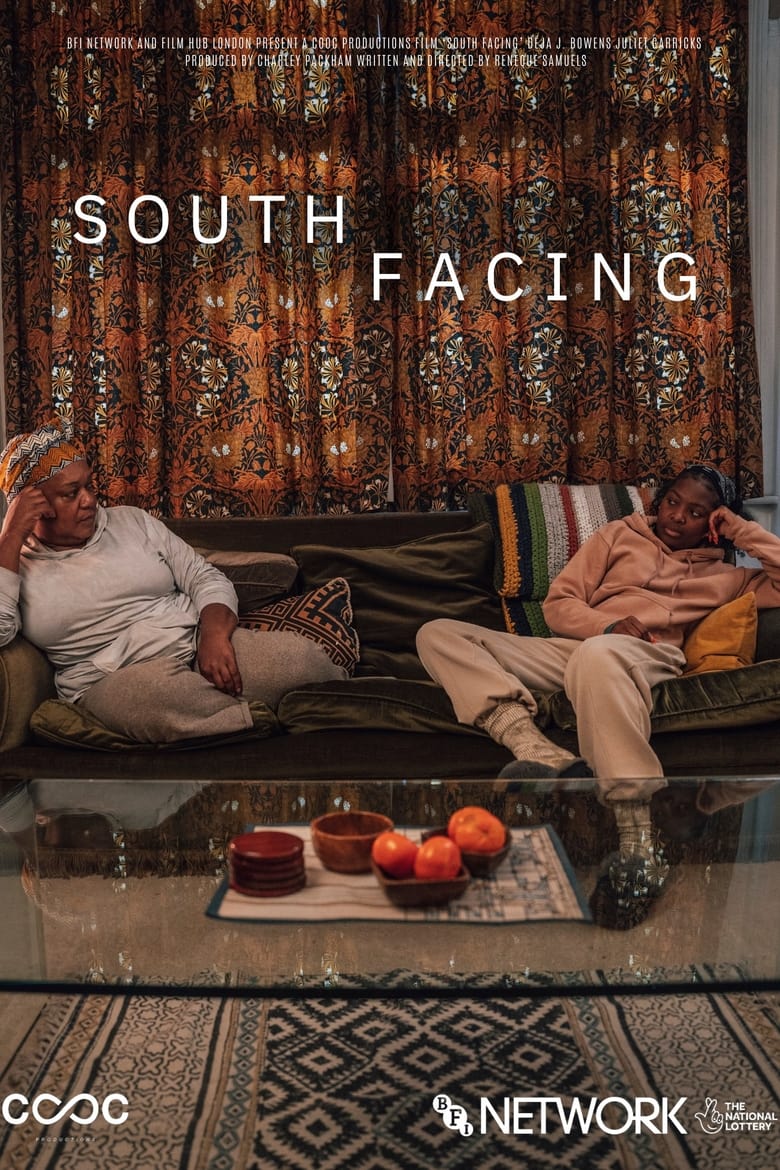 Poster of South Facing