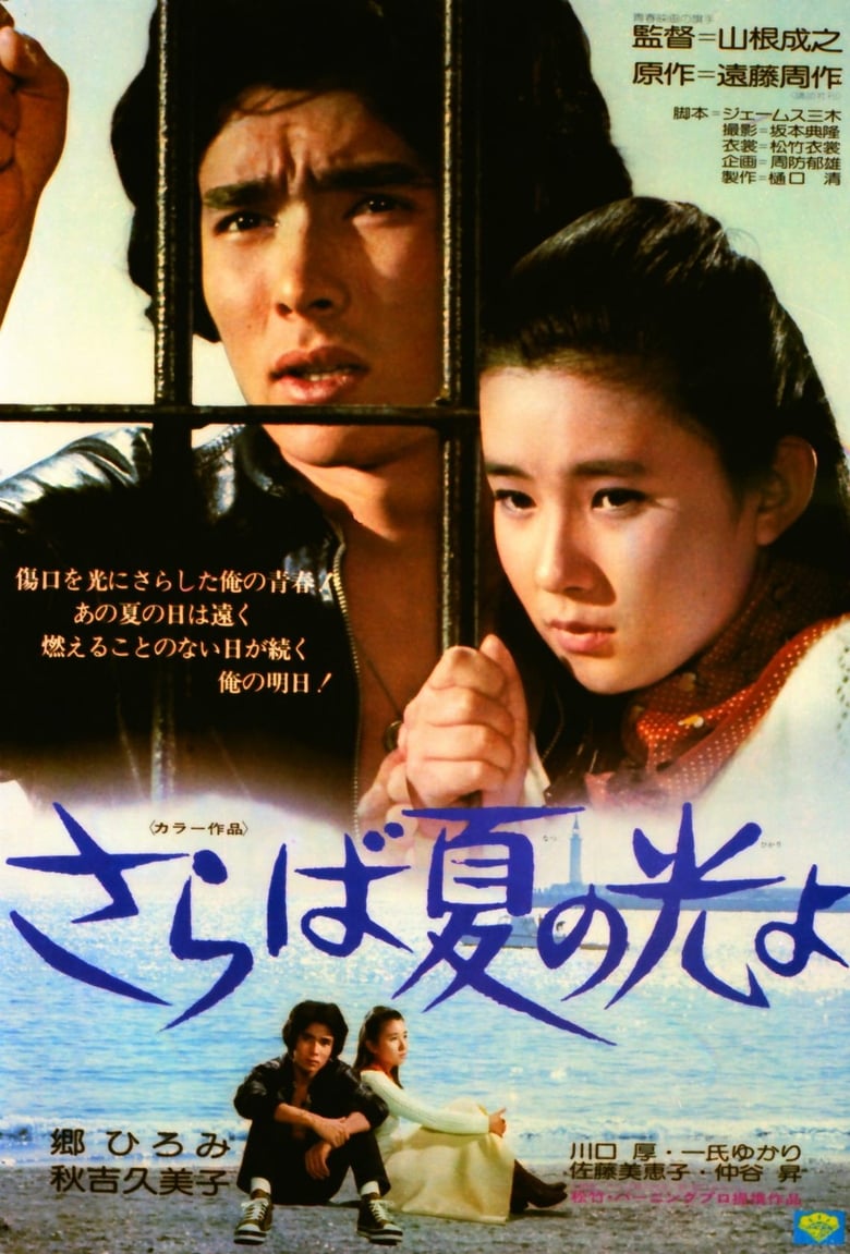 Poster of Light and Shade of Youth