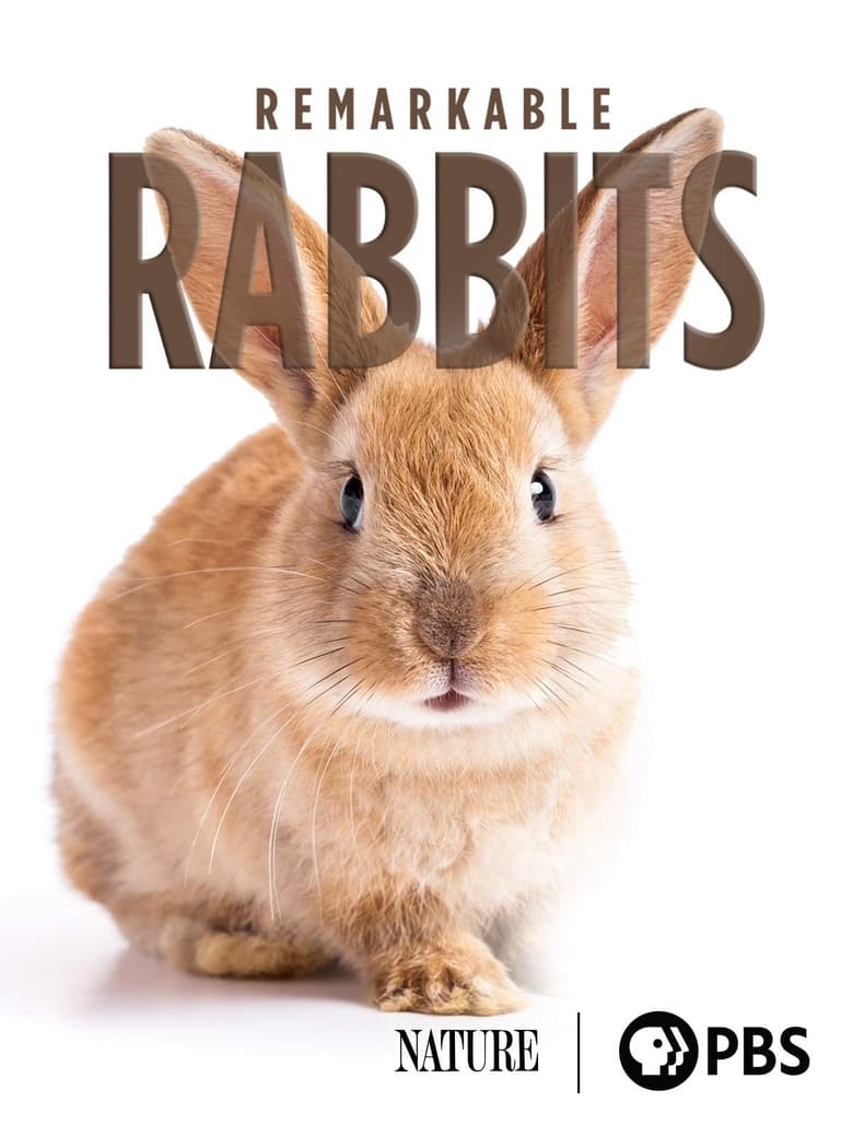 Poster of Remarkable Rabbits