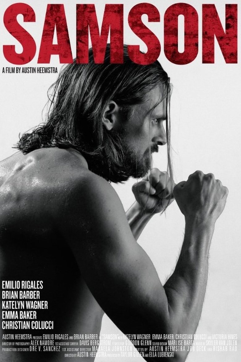 Poster of Samson