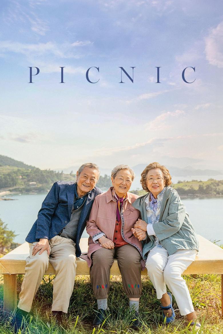 Poster of Picnic