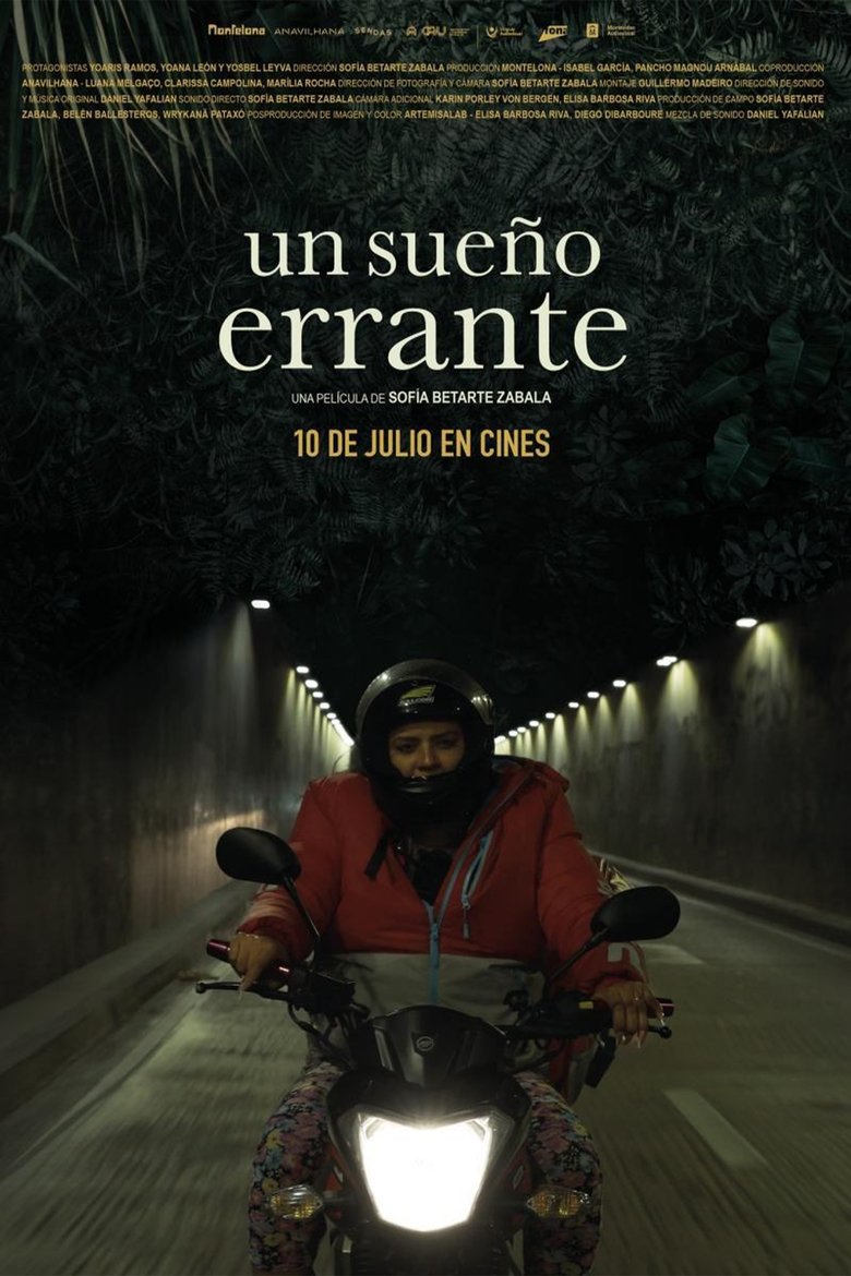 Poster of Un sueño errante