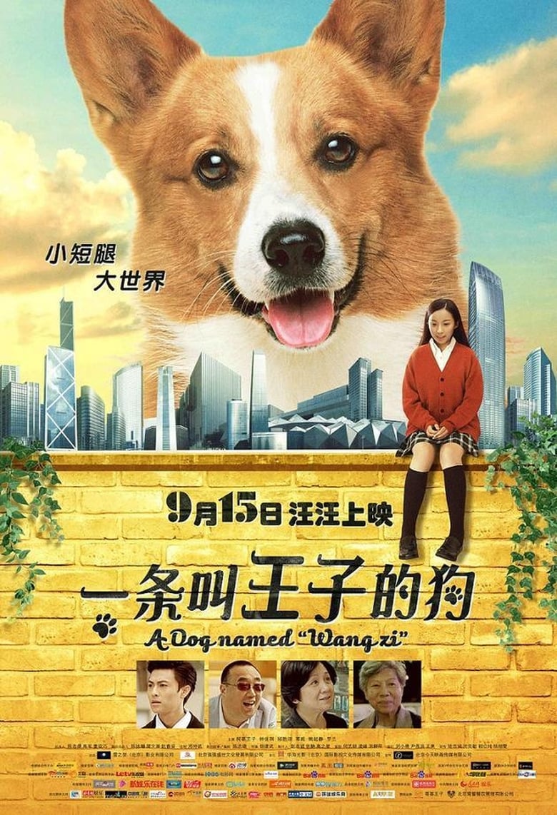 Poster of A Dog Named Wang Zi