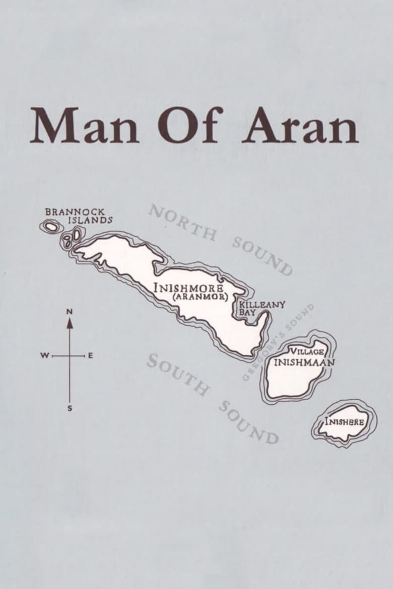 Poster of Man of Aran