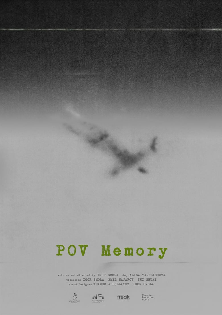 Poster of POV Memory