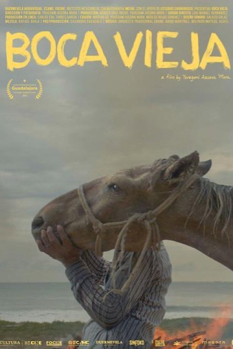 Poster of Boca Vieja