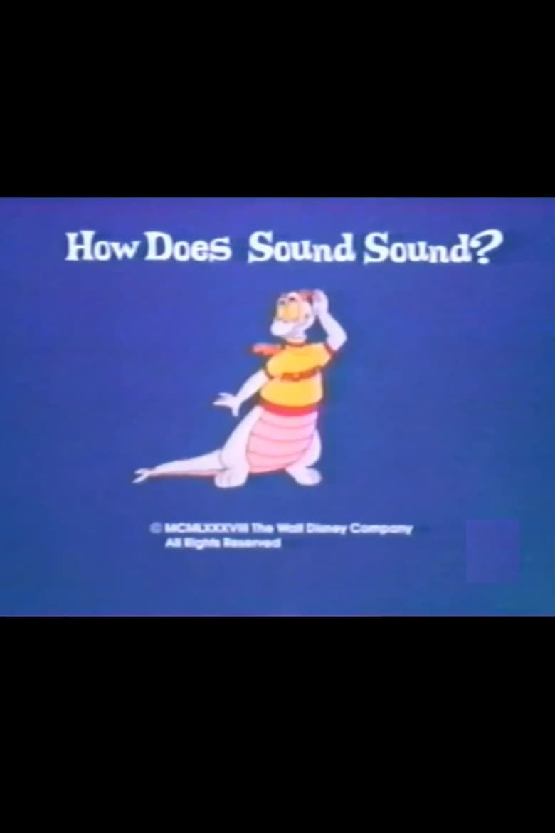 Poster of How Does Sound Sound?