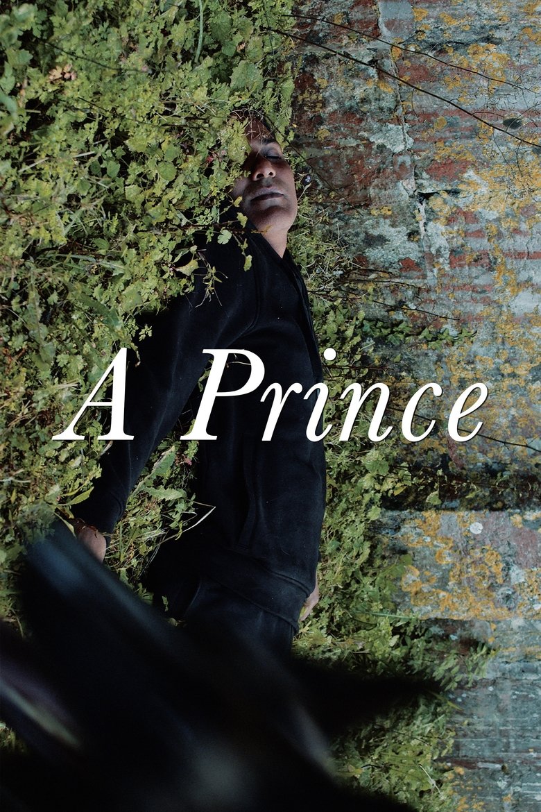 Poster of A Prince