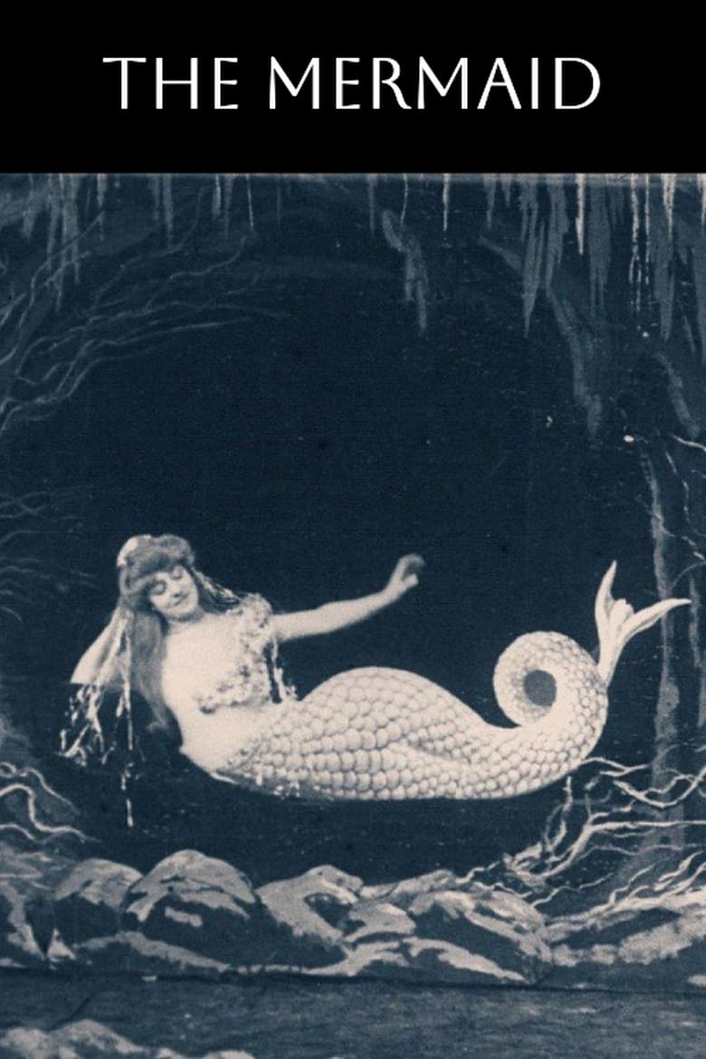 Poster of The Mermaid