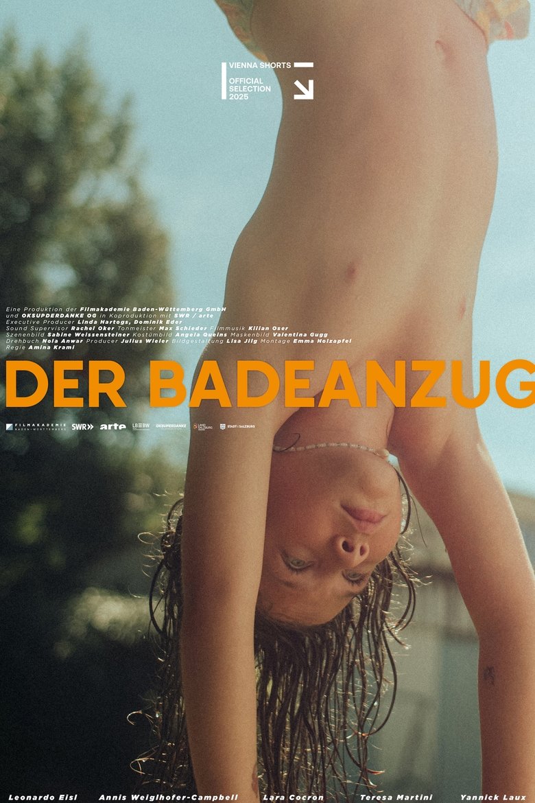 Poster of The Swimsuit