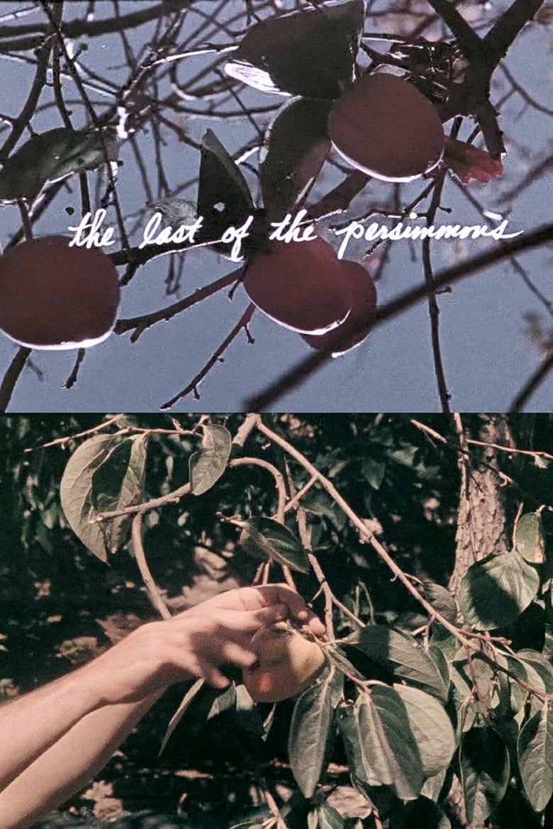 Poster of The Last of the Persimmons