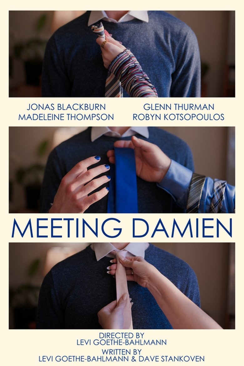 Poster of Meeting Damien