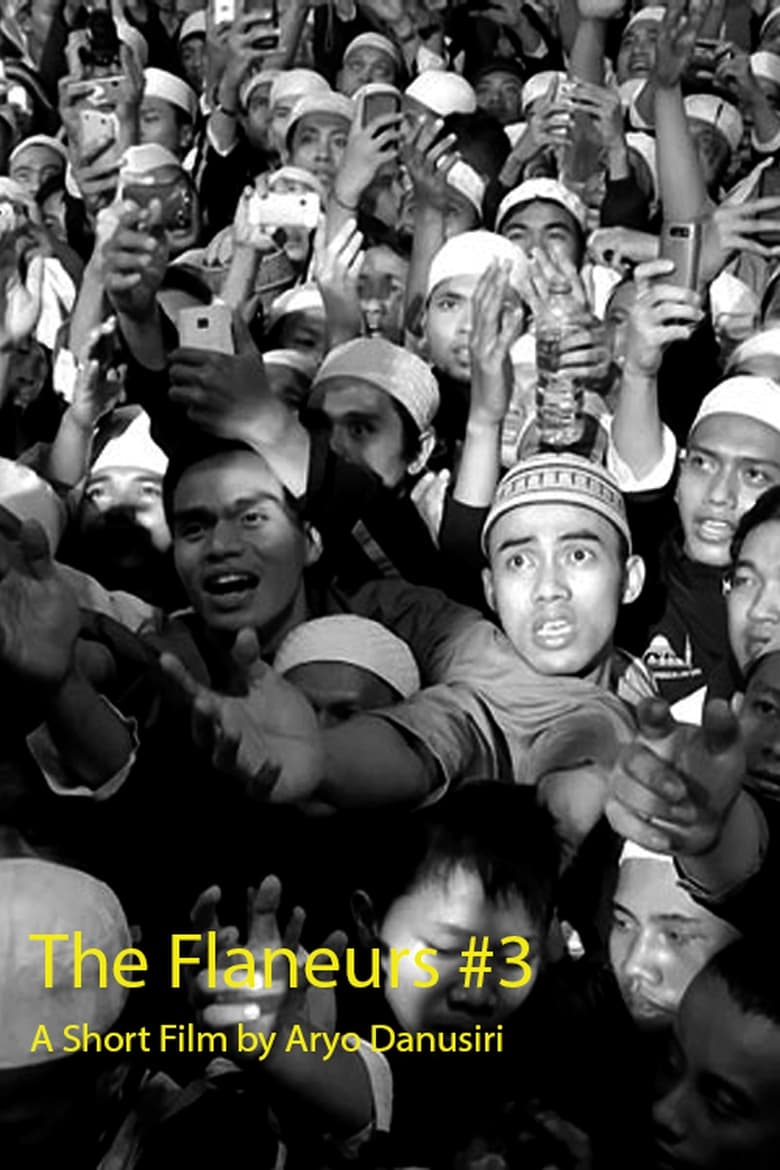 Poster of The Flaneurs #3