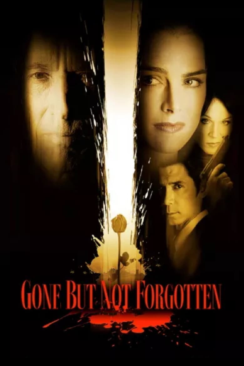 Poster of Gone But Not Forgotten