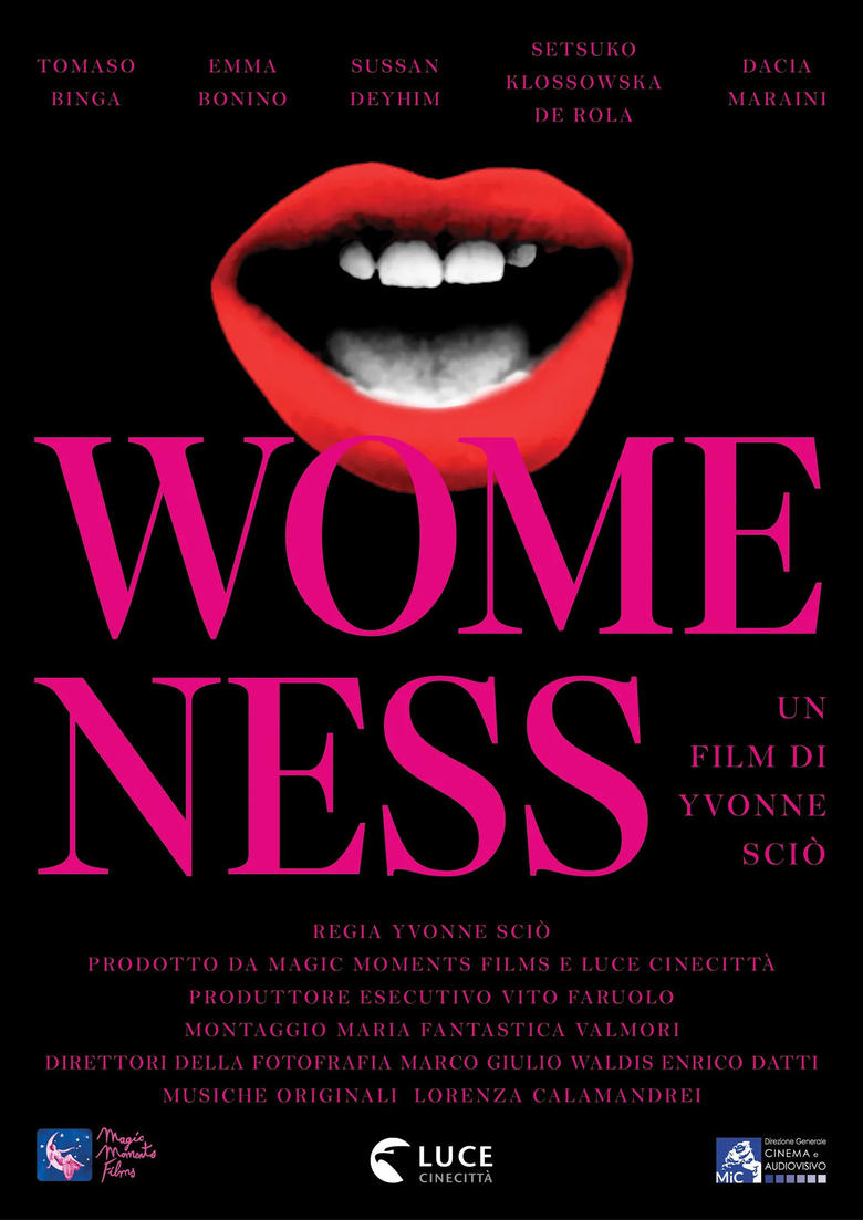 Poster of Womeness