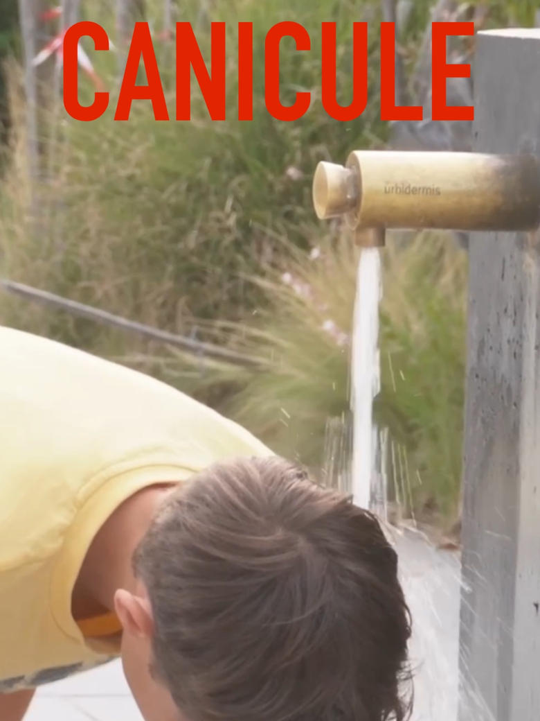 Poster of Canicule