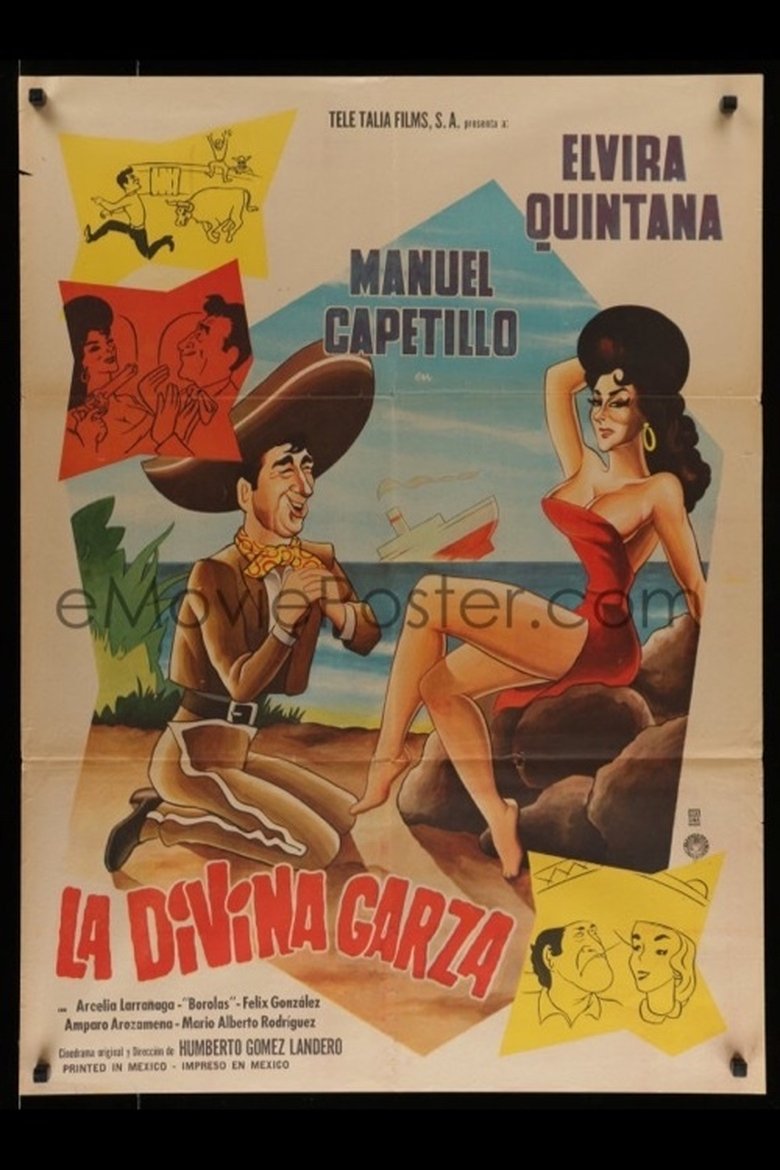 Poster of La divina garza