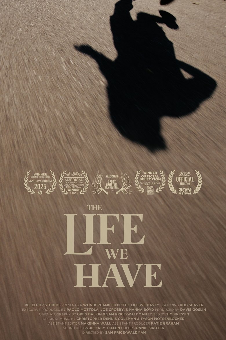 Poster of The Life We Have