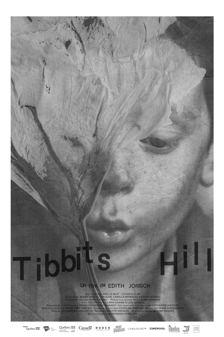 Poster of Tibbits Hill