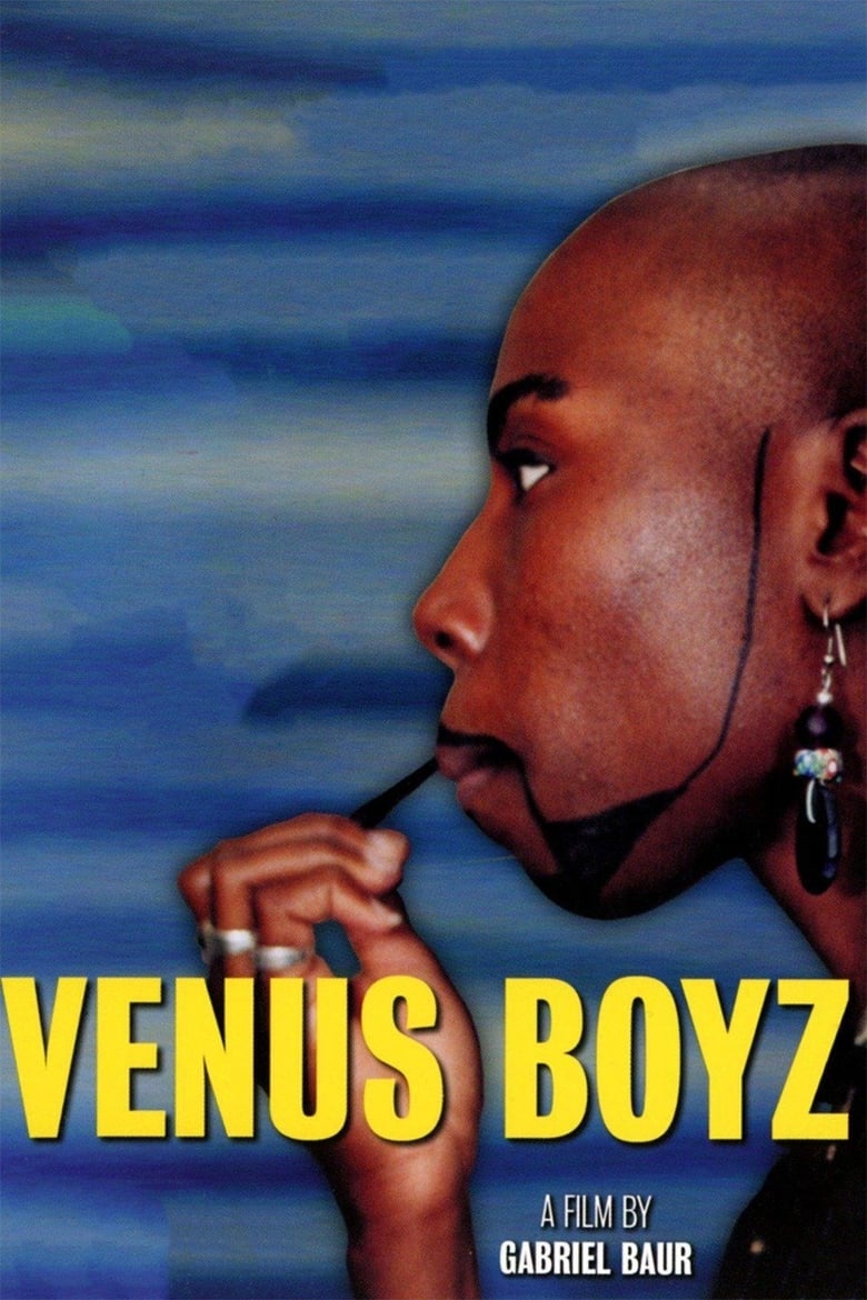 Poster of Venus Boyz