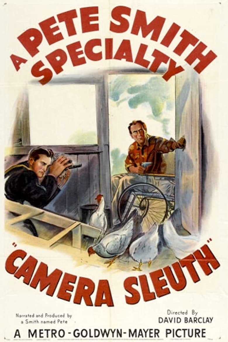 Poster of Camera Sleuth