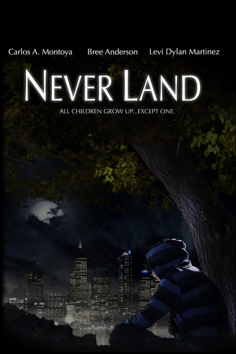 Poster of Never Land