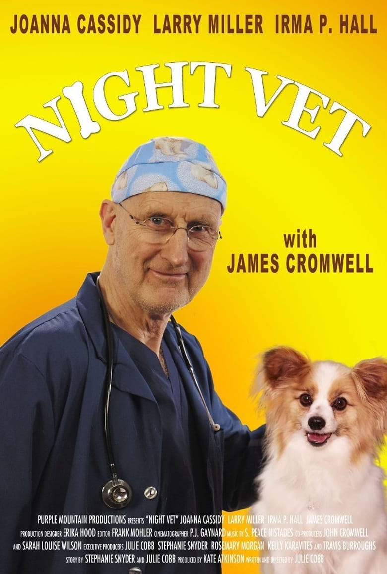 Poster of Night Vet