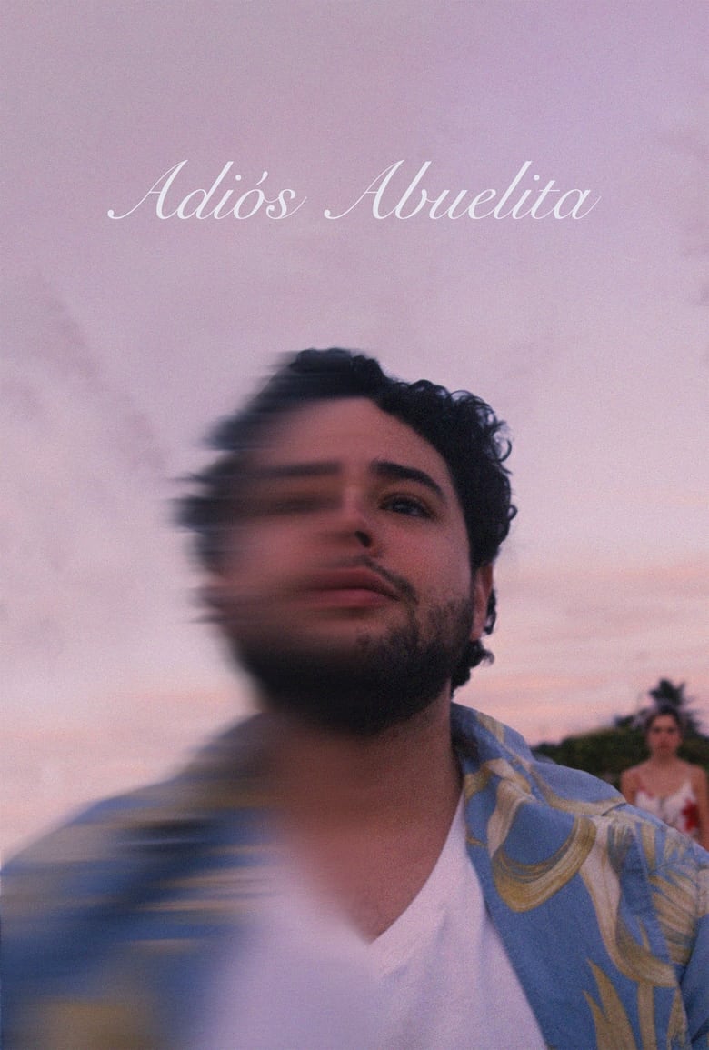 Poster of Adiós Abuelita