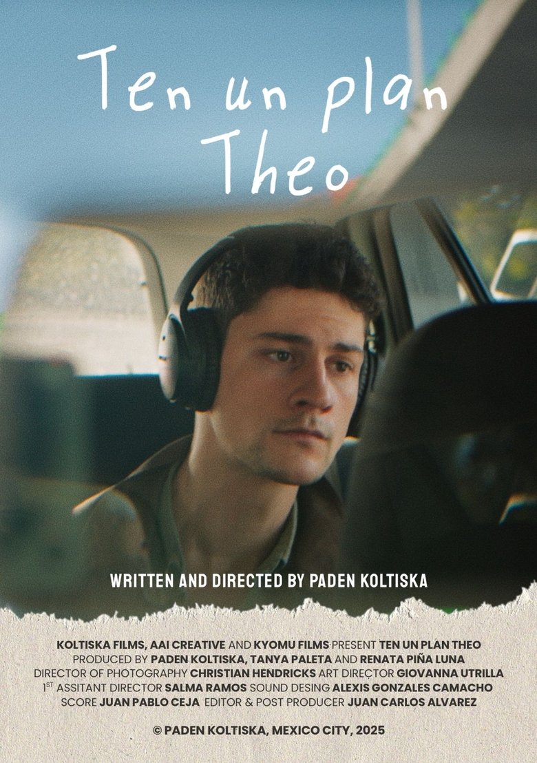 Poster of Have a Plan Theo